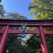 かなり広く落ち着く神社