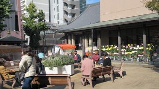 菊まつりをやっていましたが・・・