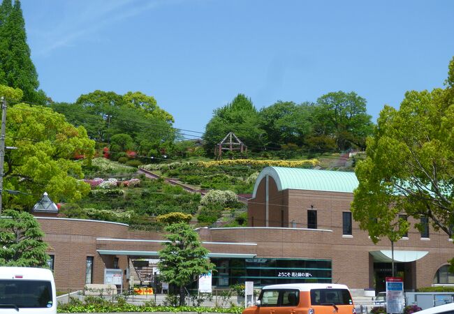 丘陵地を利用した野外植物園