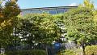 壁面いっぱいの蔵書に圧倒！