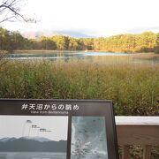 五色沼では毘沙門沼の次に大きな沼で、西吾妻山を背景にした素晴らしい景観があります。