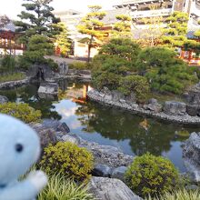 きれいにお手入れされたお庭