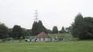 動物愛護センターもありました。