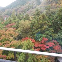 部屋からの紅葉
