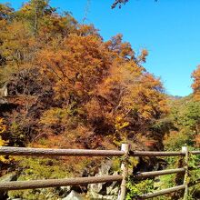 昇仙峡の紅葉