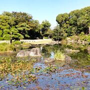天王寺公園内にある日本庭園、ゆっくりとした時を過ごす。