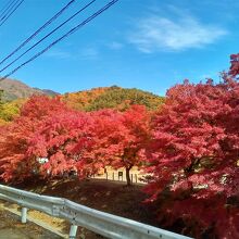 奥のもみじ回廊