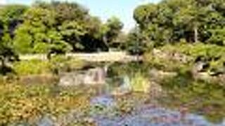 天王寺公園内にある日本庭園、ゆっくりとした時を過ごす。