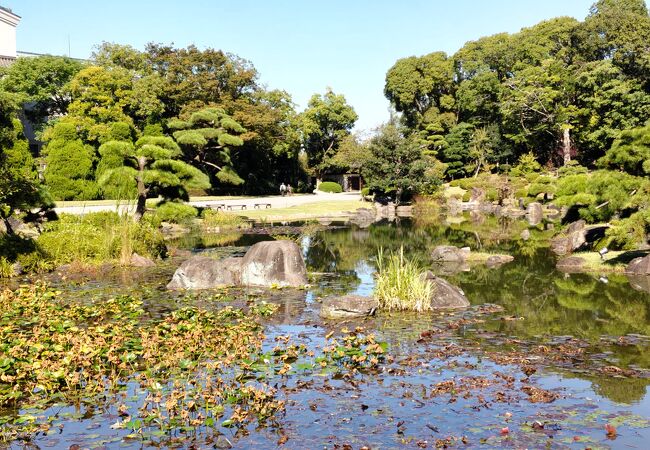 天王寺公園内にある日本庭園、ゆっくりとした時を過ごす。