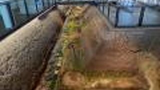 （遺構展示館）　平城京の遺構をそのまま展示