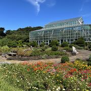 無料で入園できるガーデン