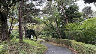 伊豆山神社から本宮へ登る途中にある