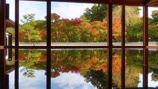 インスタ映え狙い？