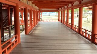 【厳島神社】大鳥居はまだ工事中でしたが、それでも参拝すると心が洗われました