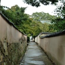 この狭い路地の風情が好い