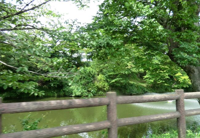 棚倉城跡(亀ヶ城公園)