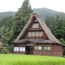 合掌造りの集落をのんびり散策