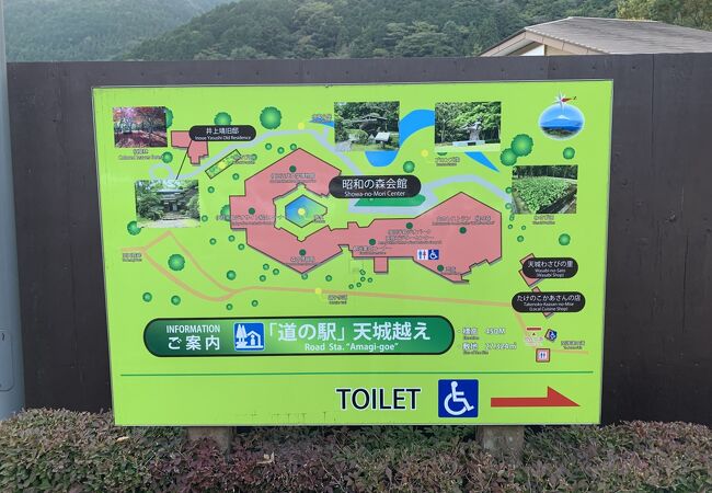 道の駅天城越えの裏手、有料の公園です。