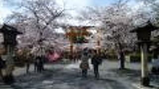 平安時代から桜の名所として名高い神社