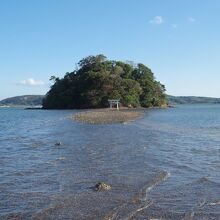 小島神社