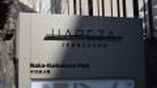 都心の中にある小さな公園