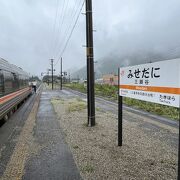 特急も停まる駅だが無人駅