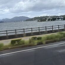 お煎餅みたいですね