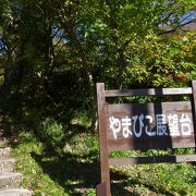 新山彦橋が良く見えます