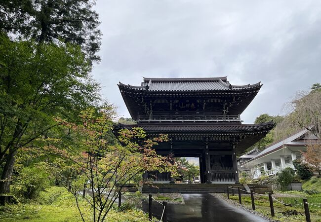 謙信ゆかりの雰囲気が素敵なお寺です