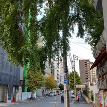 ただのストリート