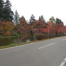 米沢城址の堀周辺はすっかり紅葉していました。