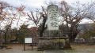 戊辰戦争や西南戦争などで戦死した方の招魂碑です。