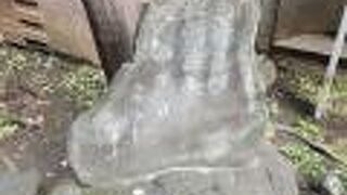 泰明小学校で学んでいた