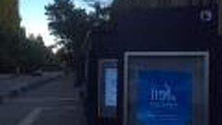 紅葉が綺麗でした