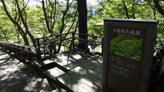 最近になってみることができるようになったんだな