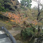 乃木将軍とその夫人が祀られてる神社