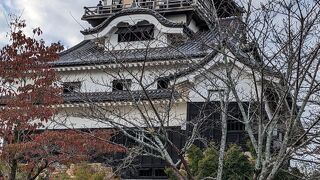 天守からの眺めが素晴らしい！