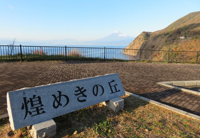 戸田の街から沼津方面に少し上がった場所。富士山の展望スポットです