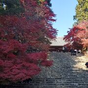 もみじ狩りに神護寺