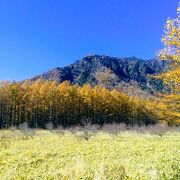 小田代原｜体験・観光スポット ｜【公式】日光市の観光サイト