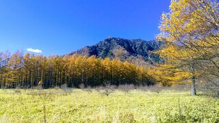 戦場ケ原とはまた違った魅力があります