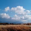 朝霧高原の牧草地