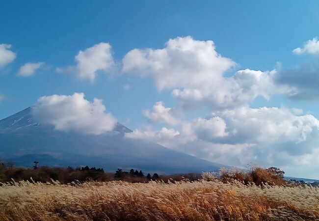 朝霧高原の牧草地