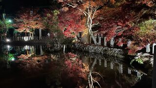 奈良の秘境です