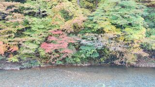 清流と紅葉