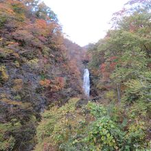 東側の道から見た秋保大滝