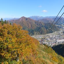 ロープウエー車窓からの景色