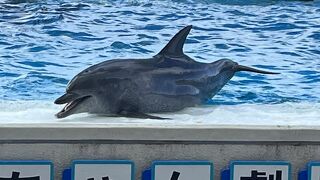 オキちゃん劇場