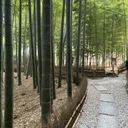 竹林で有名な寺院