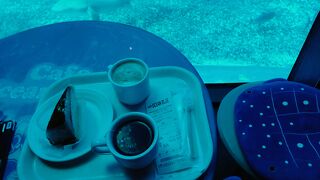 美ら海水族館のカフェは、指定席、自由席制になっていました！